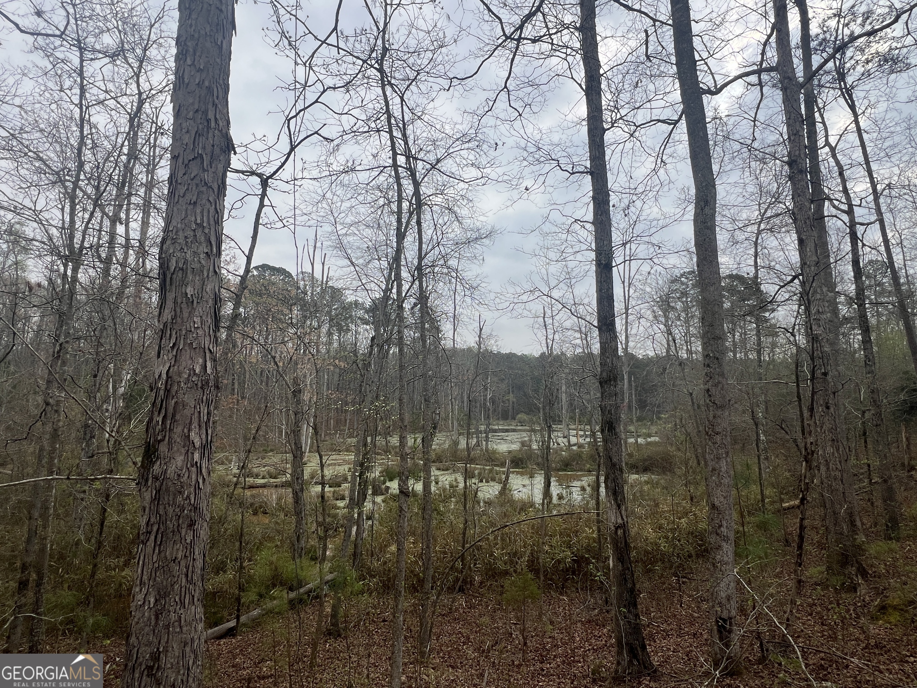 0 Bethlehem Church Road Grantville, GA 30220 - Photo 3 of 6