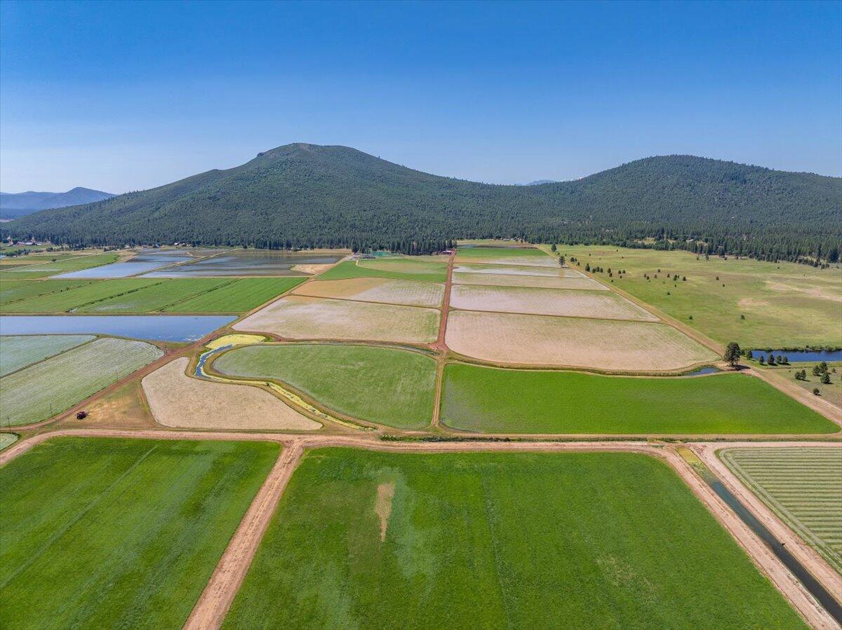 41494 Gomez Road Fall River Mills, CA 96028 - Photo 2 of 92 2