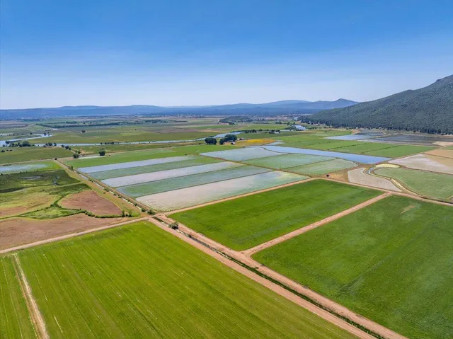 a view of a house with yard and plants