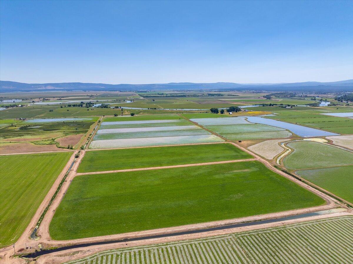 41494 Gomez Road Fall River Mills, CA 96028 - Photo 4 of 92 3