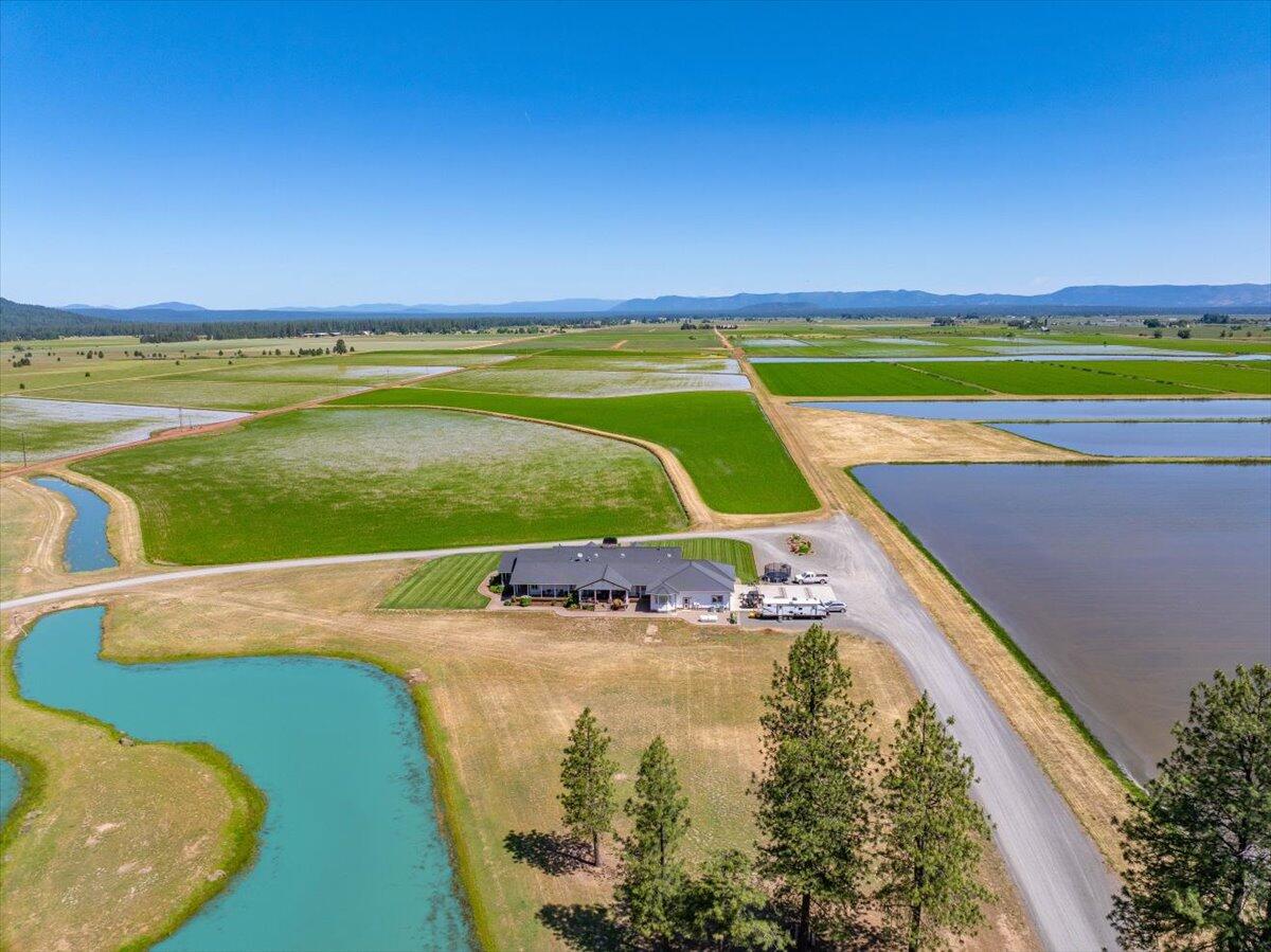 41494 Gomez Road Fall River Mills, CA 96028 - Photo 57 of 92 a view of a field with an ocean