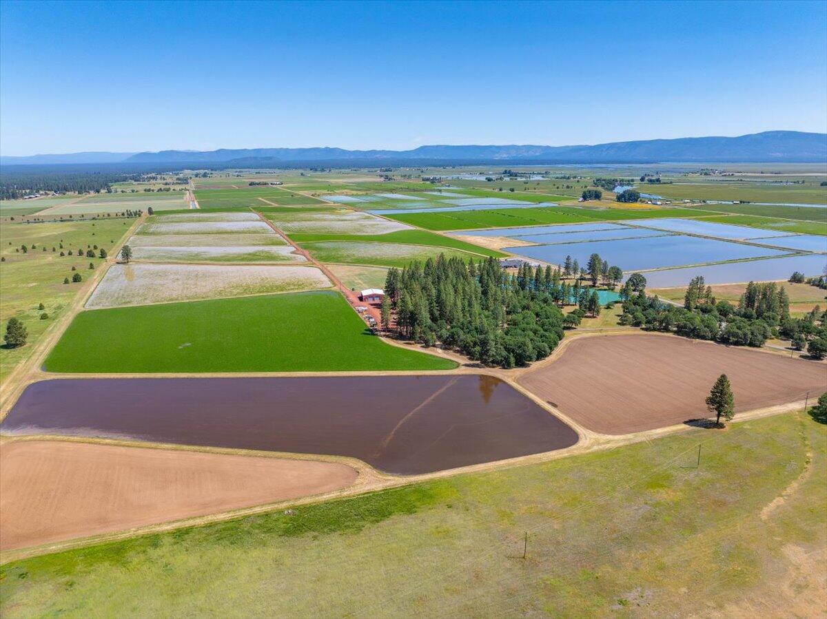 41494 Gomez Road Fall River Mills, CA 96028 - Photo 59 of 92 a view of an outdoor space and yard