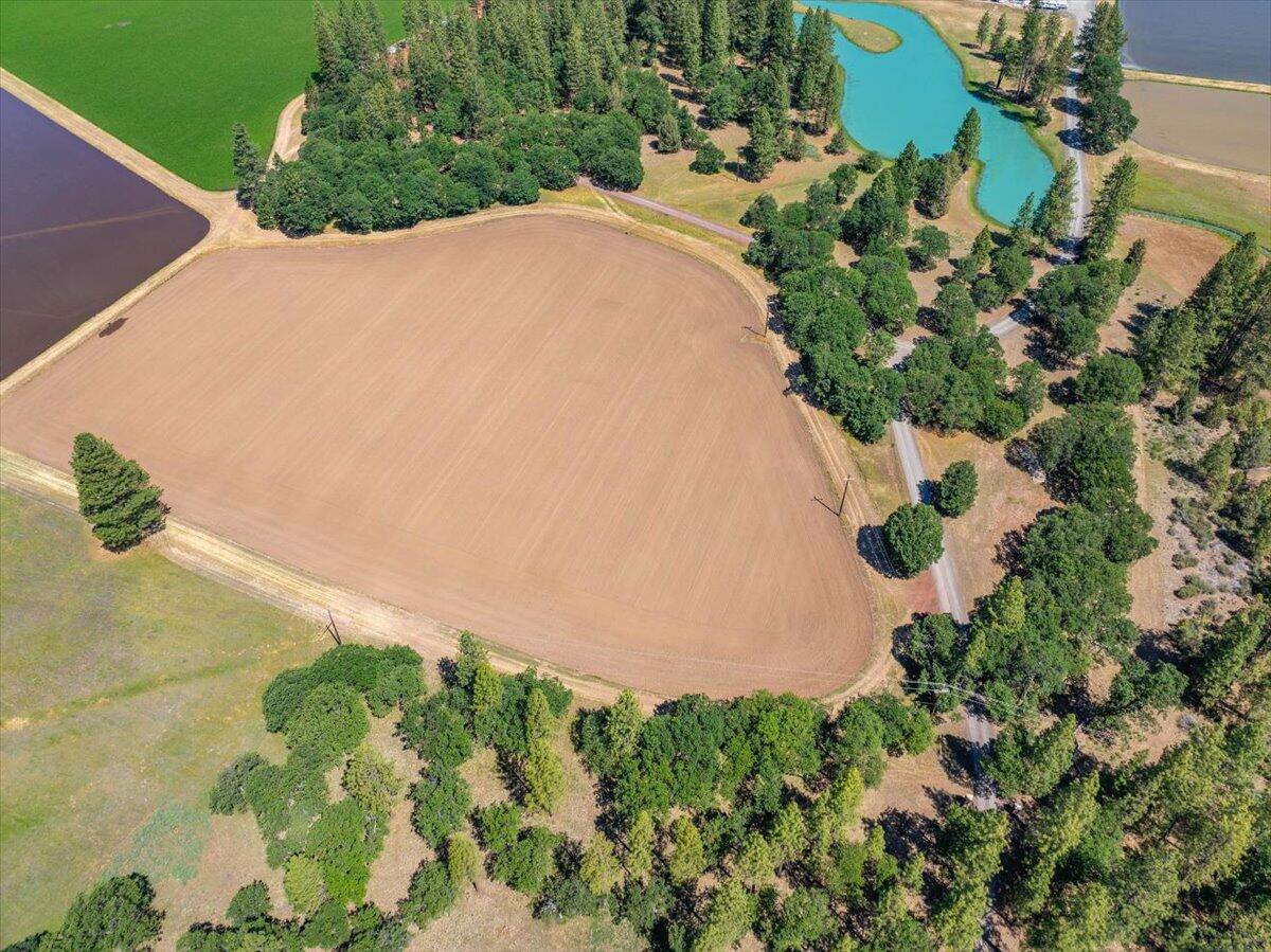 41494 Gomez Road Fall River Mills, CA 96028 - Photo 60 of 92 27a