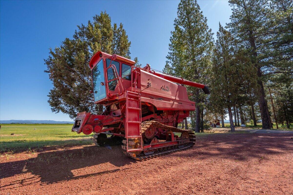 41494 Gomez Road Fall River Mills, CA 96028 - Photo 65 of 92 a view of a house with a yard