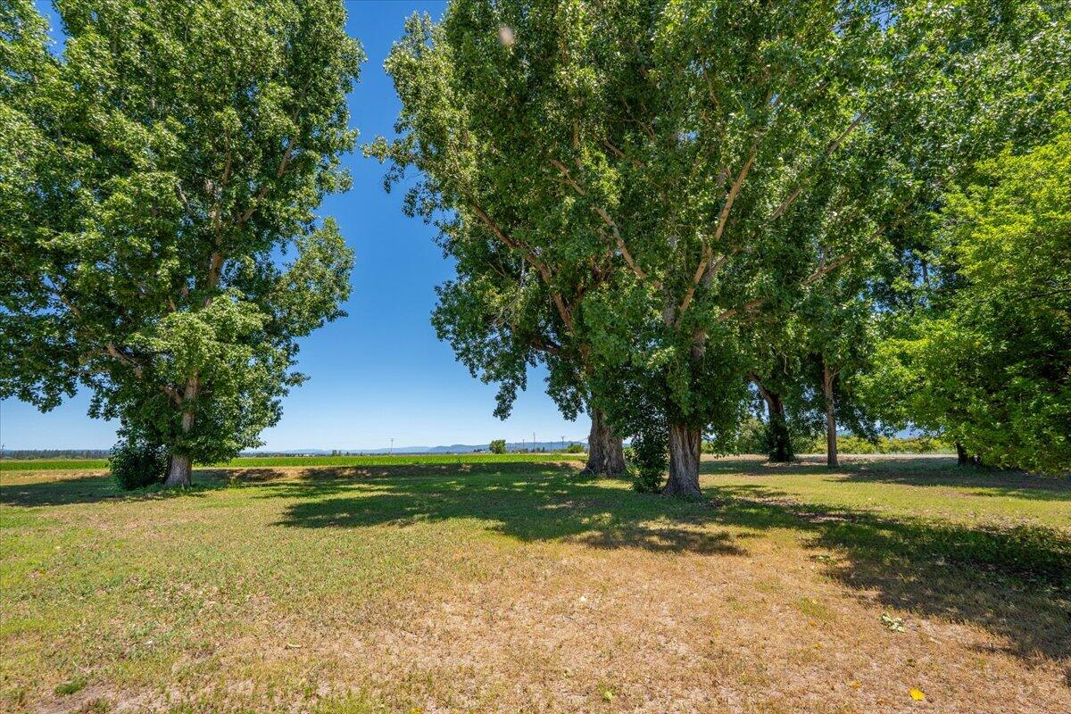 41494 Gomez Road Fall River Mills, CA 96028 - Photo 70 of 92 29g