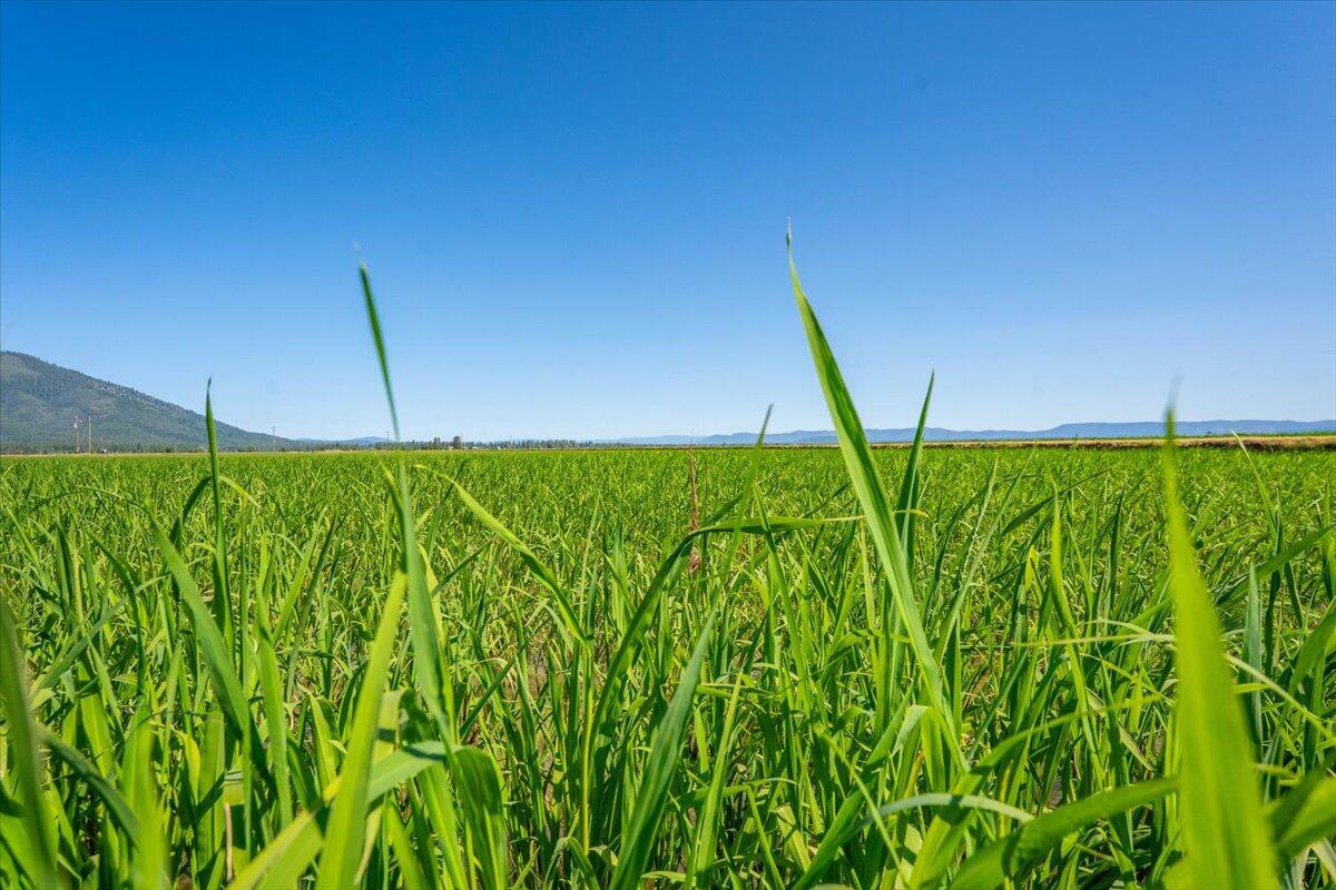 41494 Gomez Road Fall River Mills, CA 96028 - Photo 71 of 92 29h