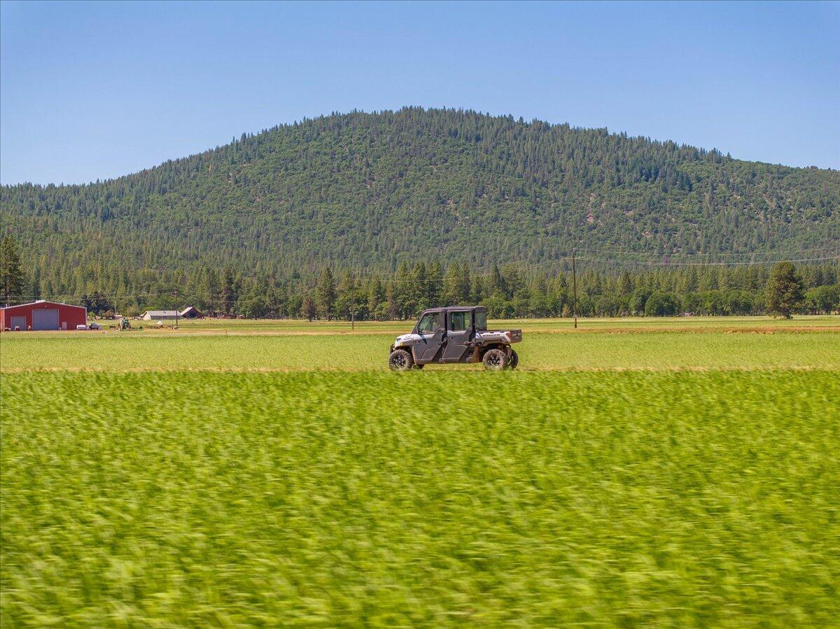 41494 Gomez Road Fall River Mills, CA 96028 - Photo 73 of 92 31