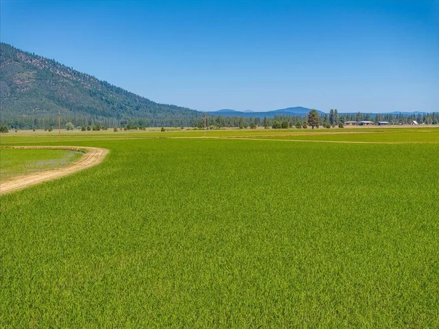 $5,400,000 | 41494 Gomez Road, Fall River Mills, CA 96028