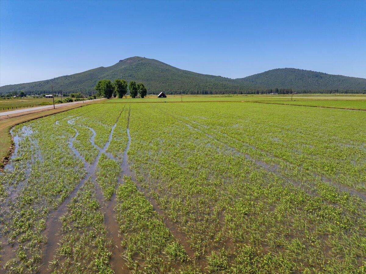 41494 Gomez Road Fall River Mills, CA 96028 - Photo 78 of 92 a view of an ocean and a mountain