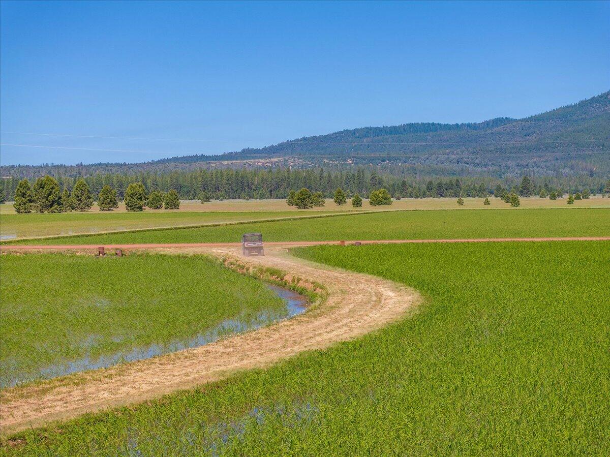 41494 Gomez Road Fall River Mills, CA 96028 - Photo 81 of 92 a view of an ocean and a mountain view