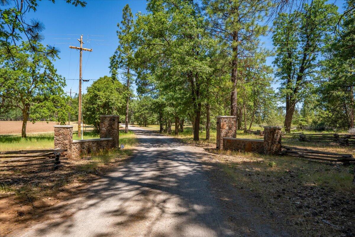 41494 Gomez Road Fall River Mills, CA 96028 - Photo 82 of 92 a view of a park with bench and trees