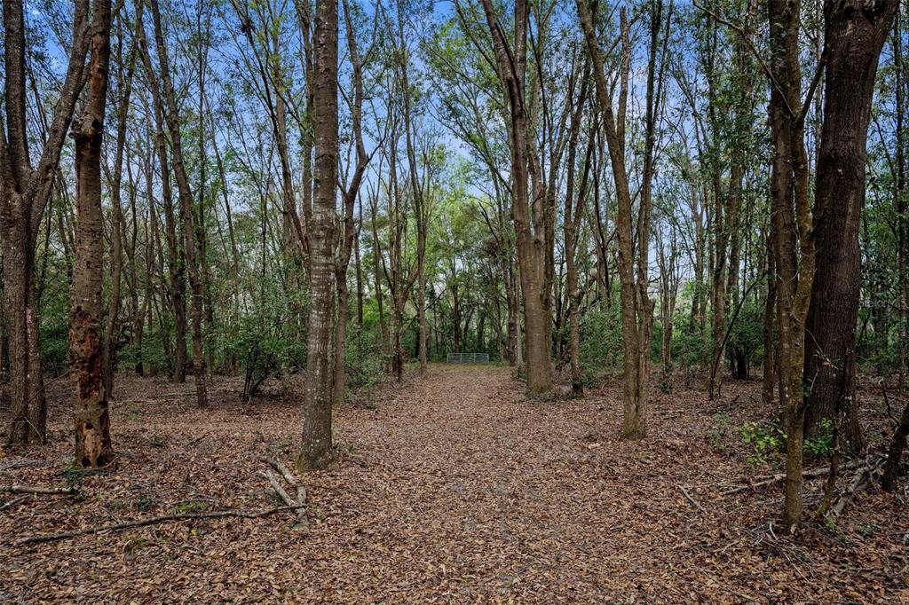 Pumpkin Path Brooksville, FL 34602 - Photo 13 of 33 a view of outdoor space