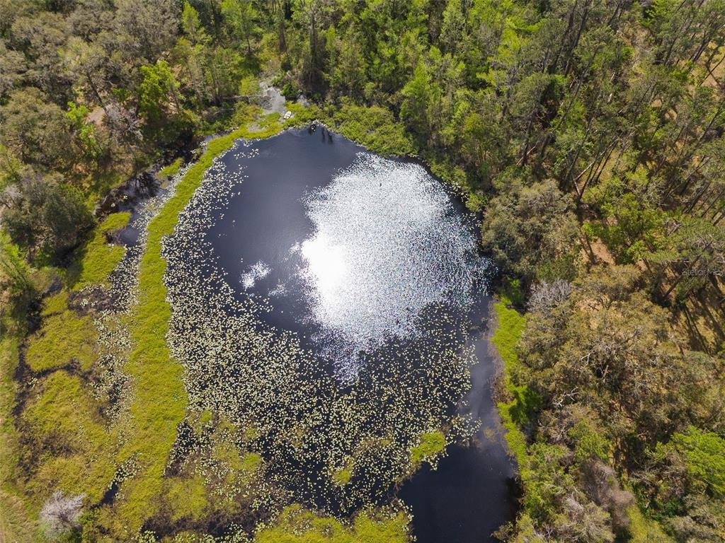 Pumpkin Path Brooksville, FL 34602 - Photo 14 of 33 a view of a pathway with a yard
