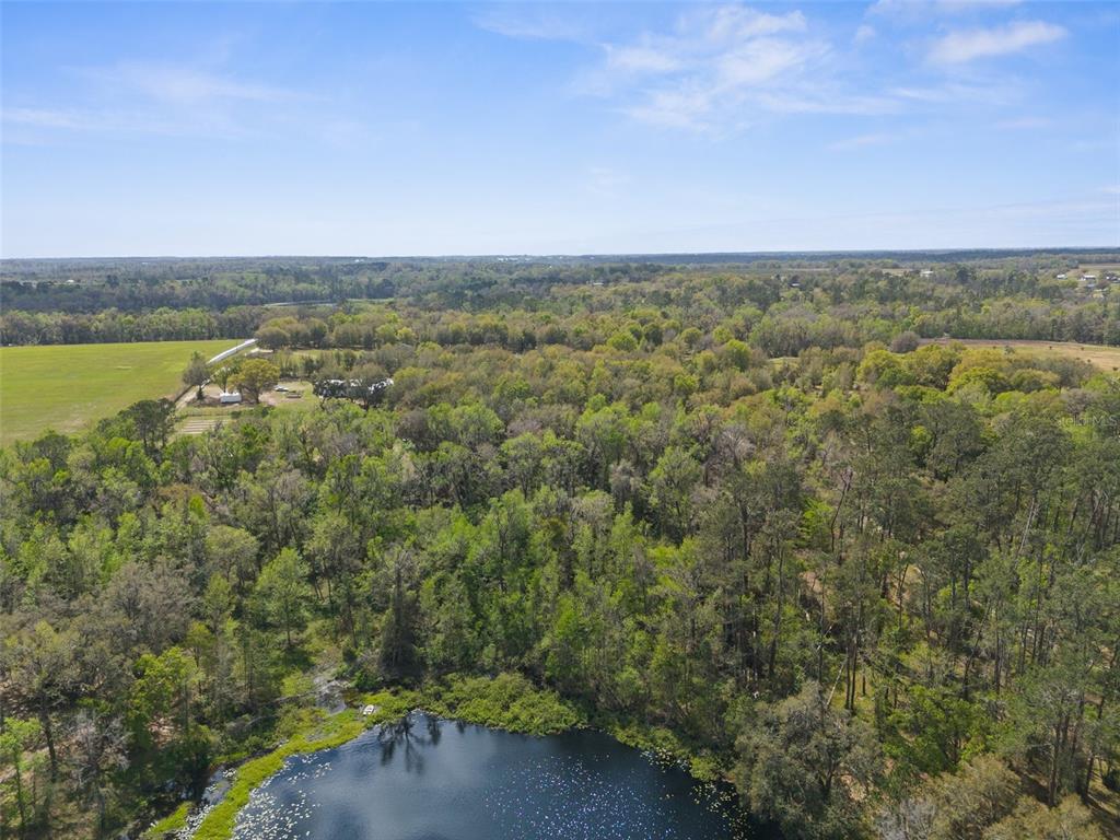 Pumpkin Path Brooksville, FL 34602 - Photo 15 of 33 an aerial view of a houses with a yard