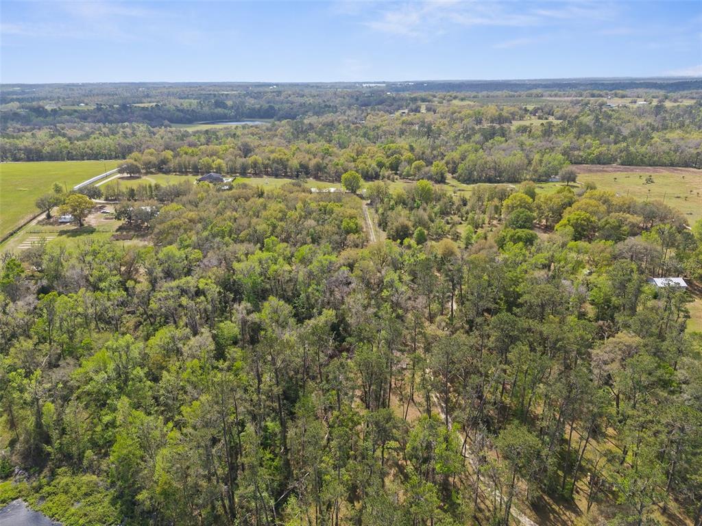 Pumpkin Path Brooksville, FL 34602 - Photo 22 of 33 an aerial view of residential houses with outdoor space and trees