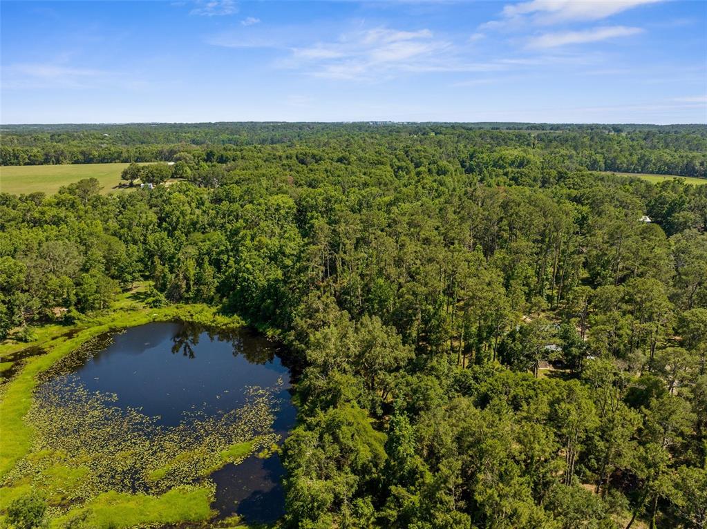 Pumpkin Path Brooksville, FL 34602 - Photo 25 of 33 a view of outdoor space and mountain view