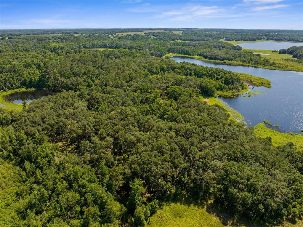 Pumpkin Path Brooksville, FL 34602 - Photo 27 of 33 a view of a lush green field