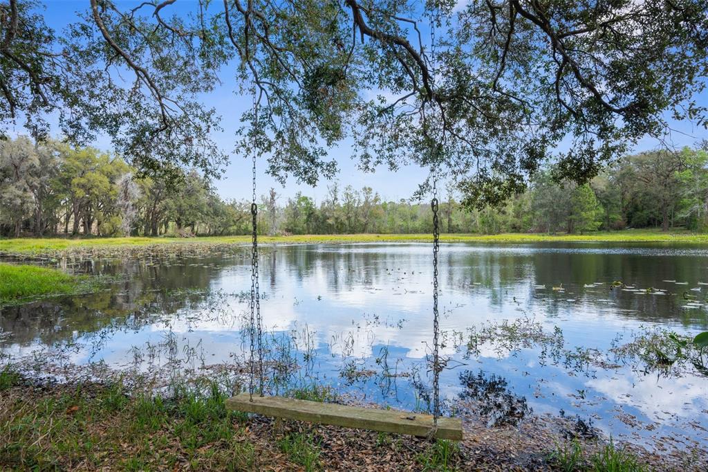 Pumpkin Path Brooksville, FL 34602 - Photo 3 of 33 a view of lake with green space