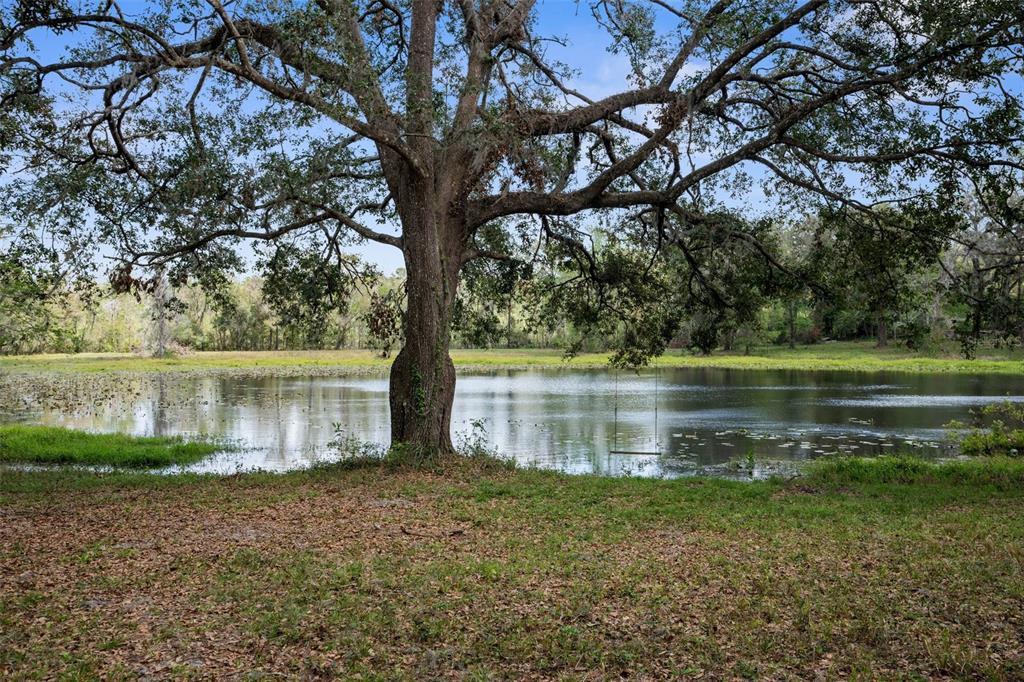 Pumpkin Path Brooksville, FL 34602 - Photo 5 of 33 a view of a lake in between of two trees