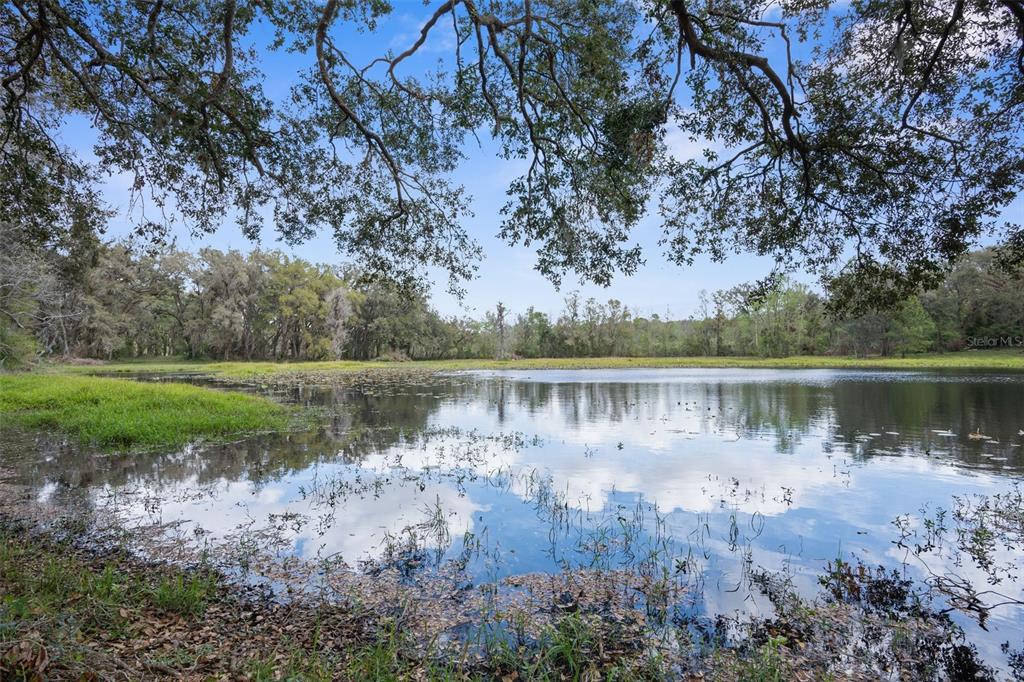 Pumpkin Path Brooksville, FL 34602 - Photo 6 of 33 a view of a lake with a forest