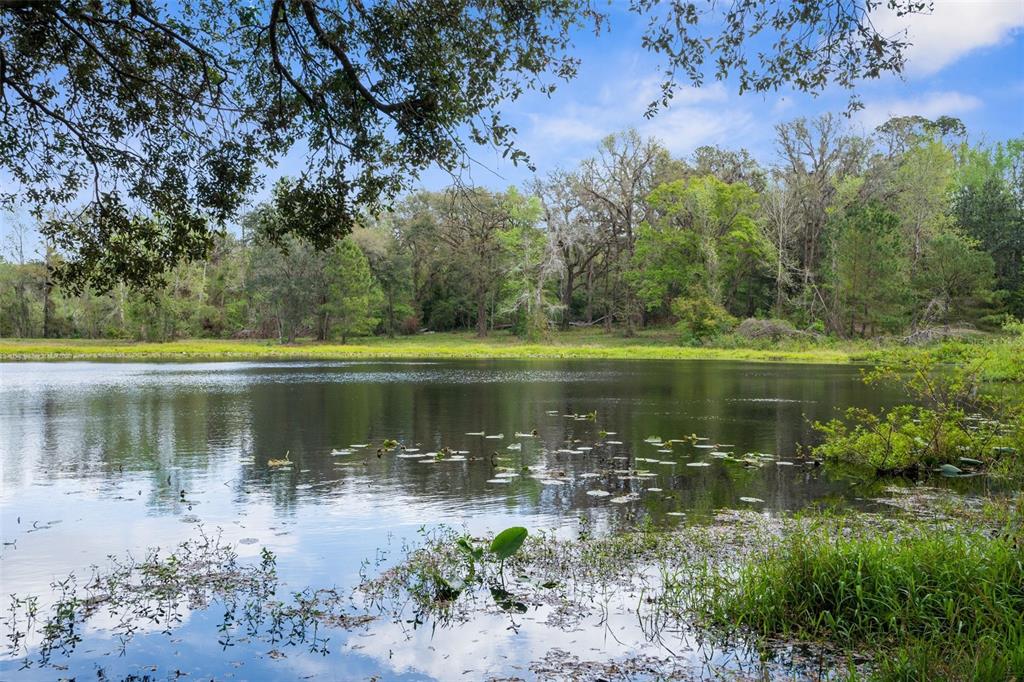 Pumpkin Path Brooksville, FL 34602 - Photo 9 of 33 a view of a lake with a mountain