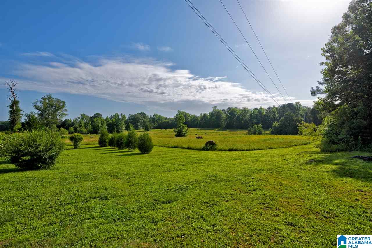 668 Edgil Road Jasper, AL 35503 - Photo 30 of 30