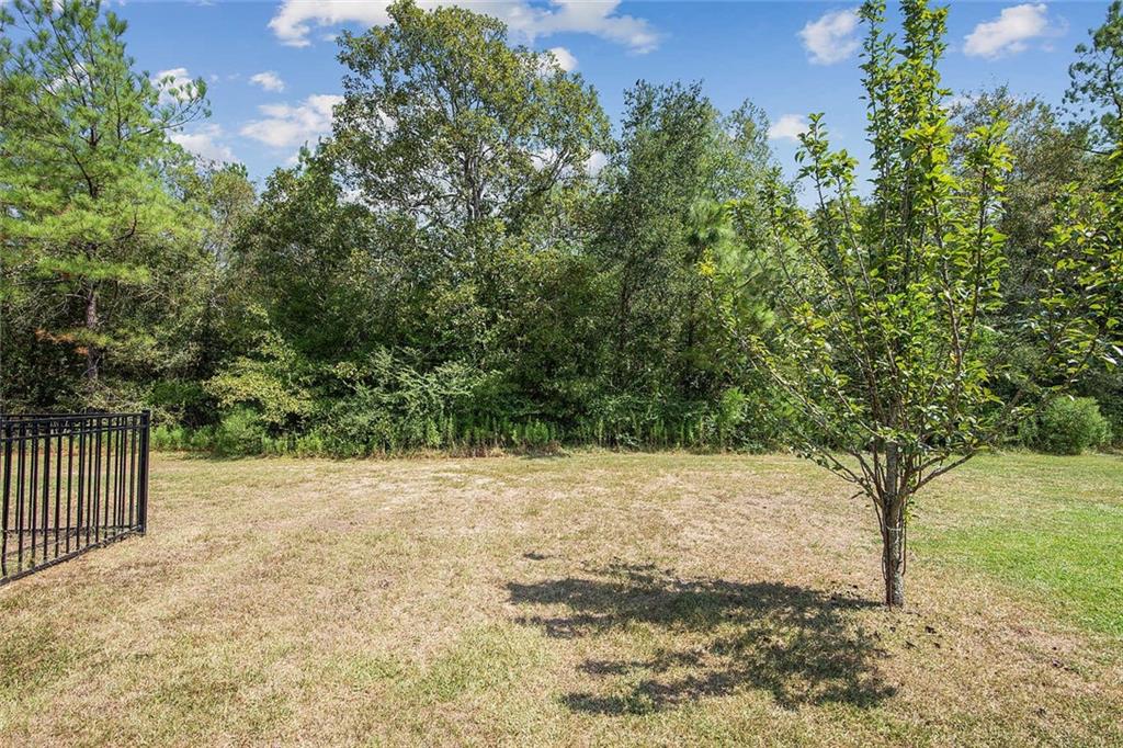 23728 Monarch Point Springfield, LA 70462 - Photo 10 of 10