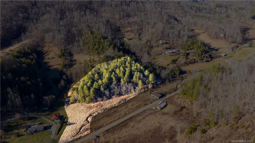 0 Paint Fork Road Mars Hill, NC 28754 - Photo 2 of 8 Gallery Image 2
