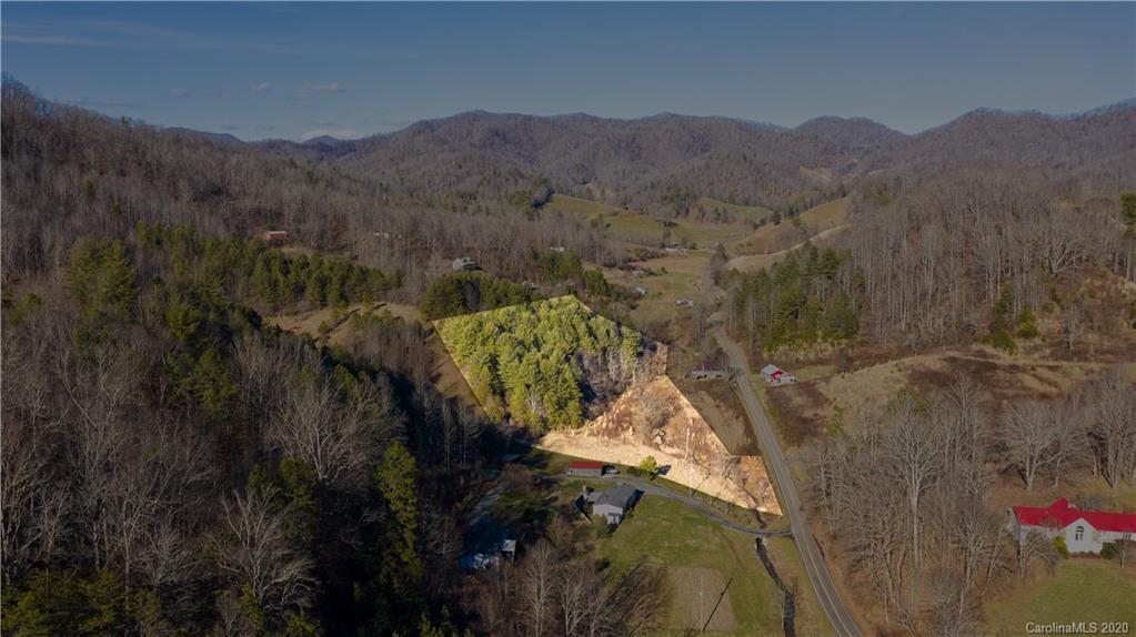 0 Paint Fork Road Mars Hill, NC 28754 - Photo 7 of 8 Gallery Image 7