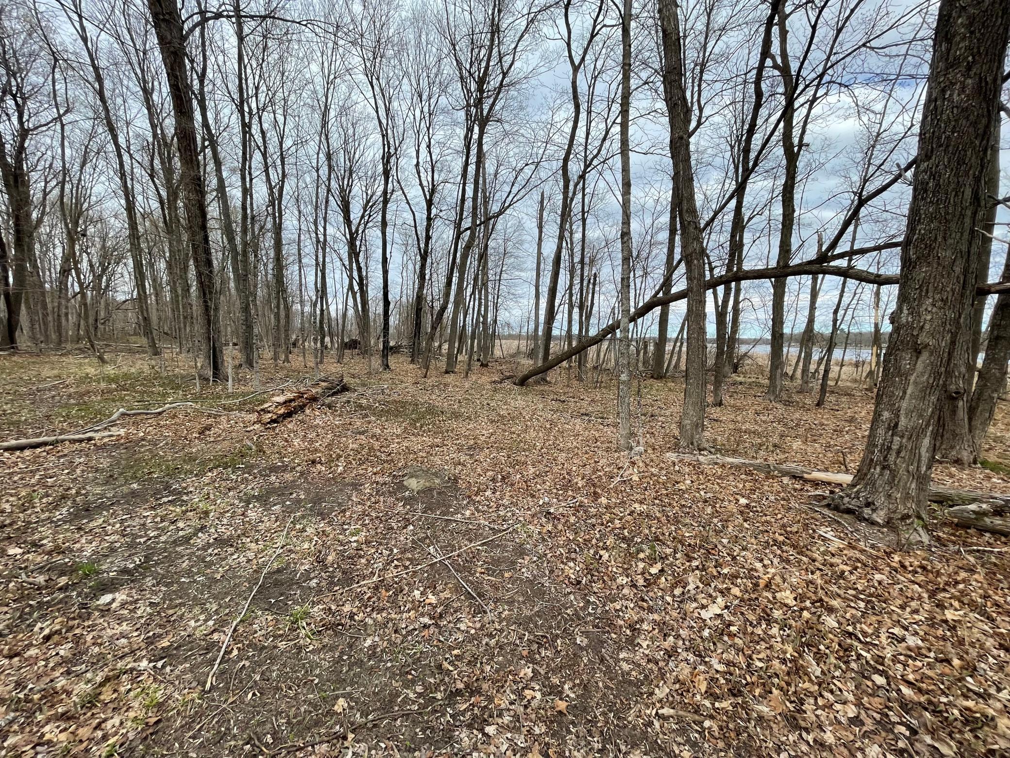 Tbd Tbd 388th Onamia, MN 56359 - Photo 23 of 30
