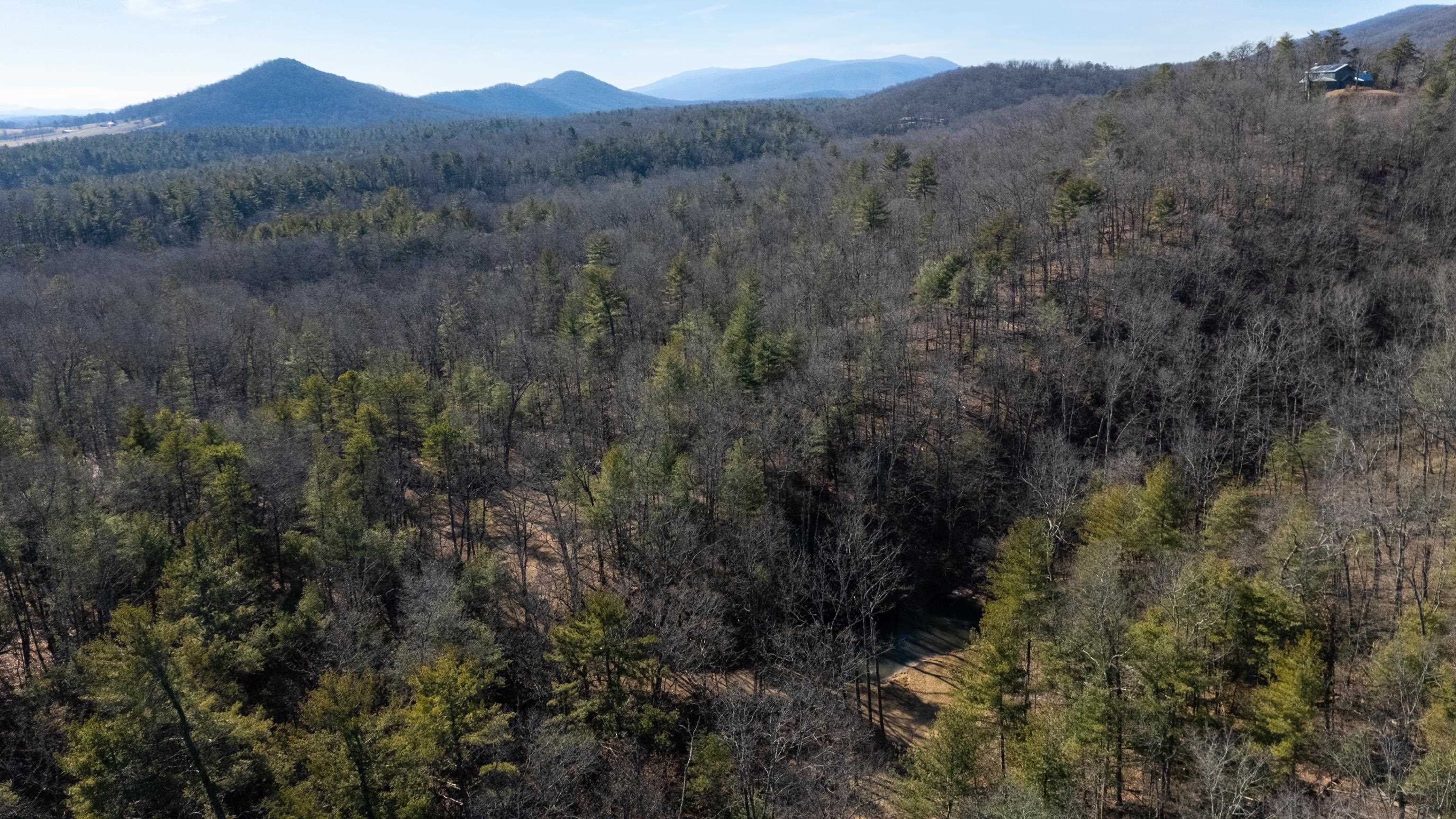 24.97-ac Stribling Springs Road Mount Solon, VA 22843 - Photo 17 of 34 a view of a forest with a mountain in the background
