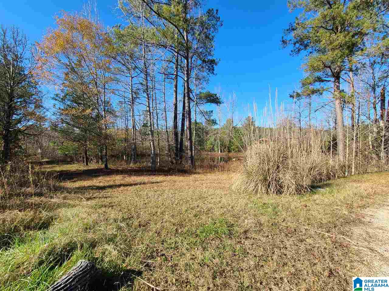 3360 Possum Trot Road Piedmont, AL 36272 - Photo 6 of 7