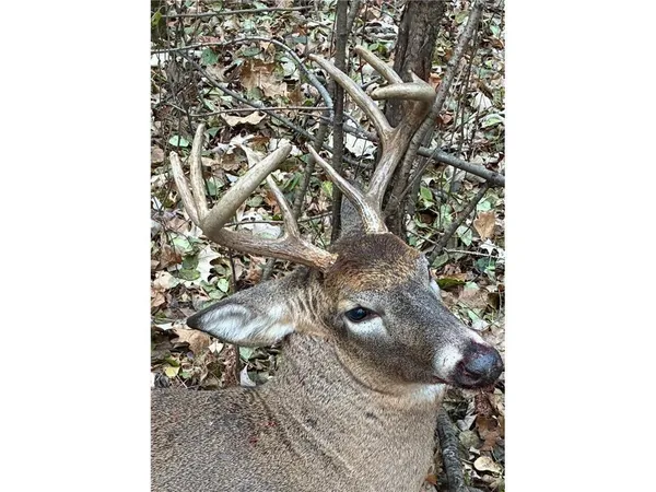 $558,116 | 12157 Butternut Road Southeast, Brainerd, MN 56401