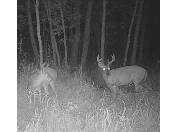 $558,116 | 12157 Butternut Road Southeast, Brainerd, MN 56401