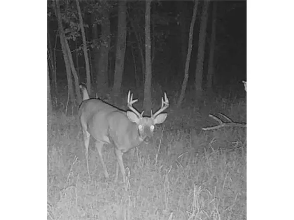 $558,116 | 12157 Butternut Road Southeast, Brainerd, MN 56401