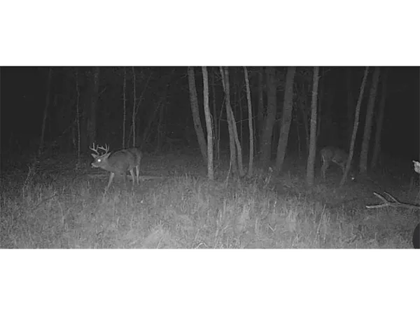 $558,116 | 12157 Butternut Road Southeast, Brainerd, MN 56401