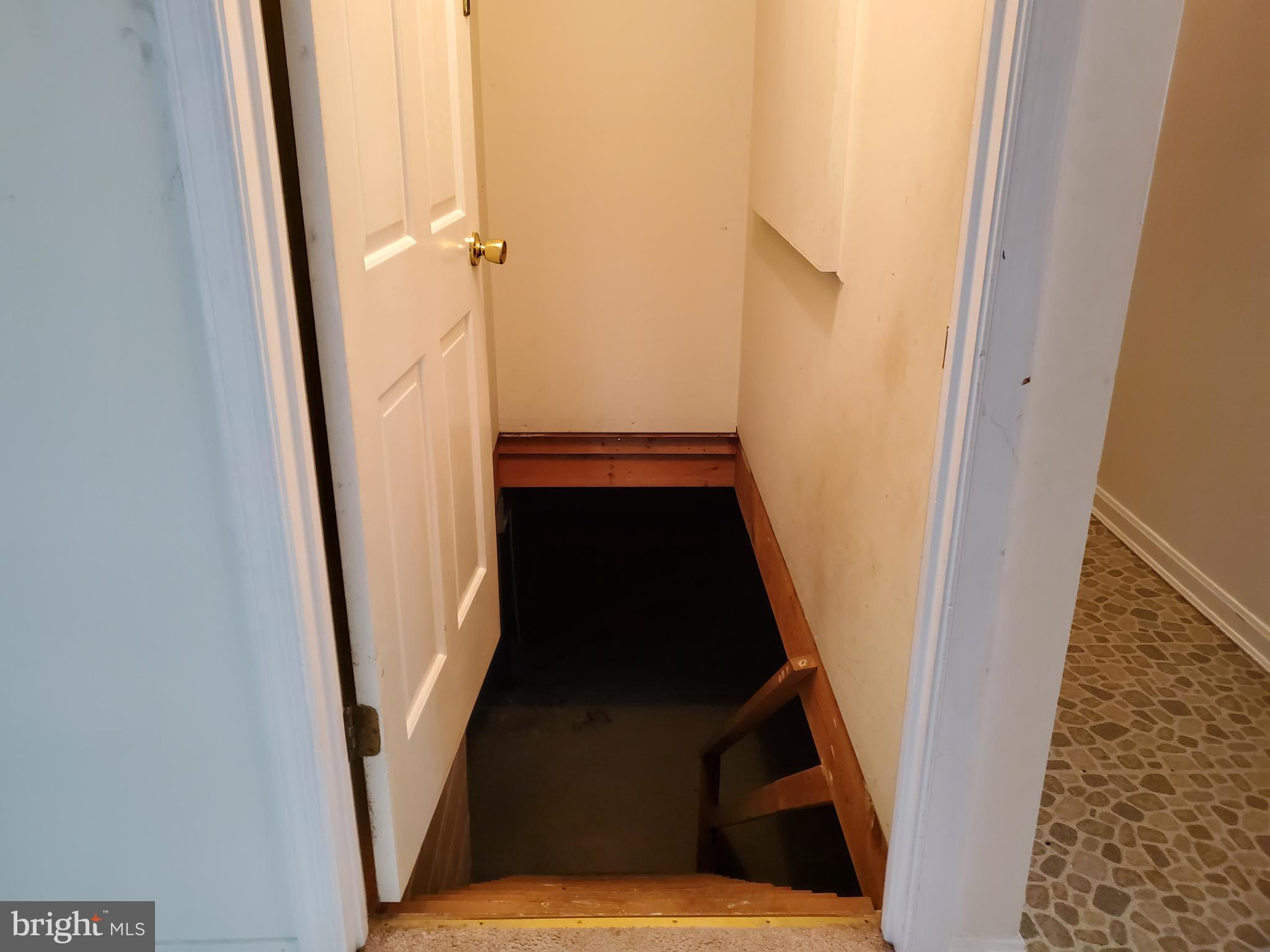48062 Post Oak Road St. Inigoes, MD 20684 - Photo 22 of 38 Basement - watch your step...