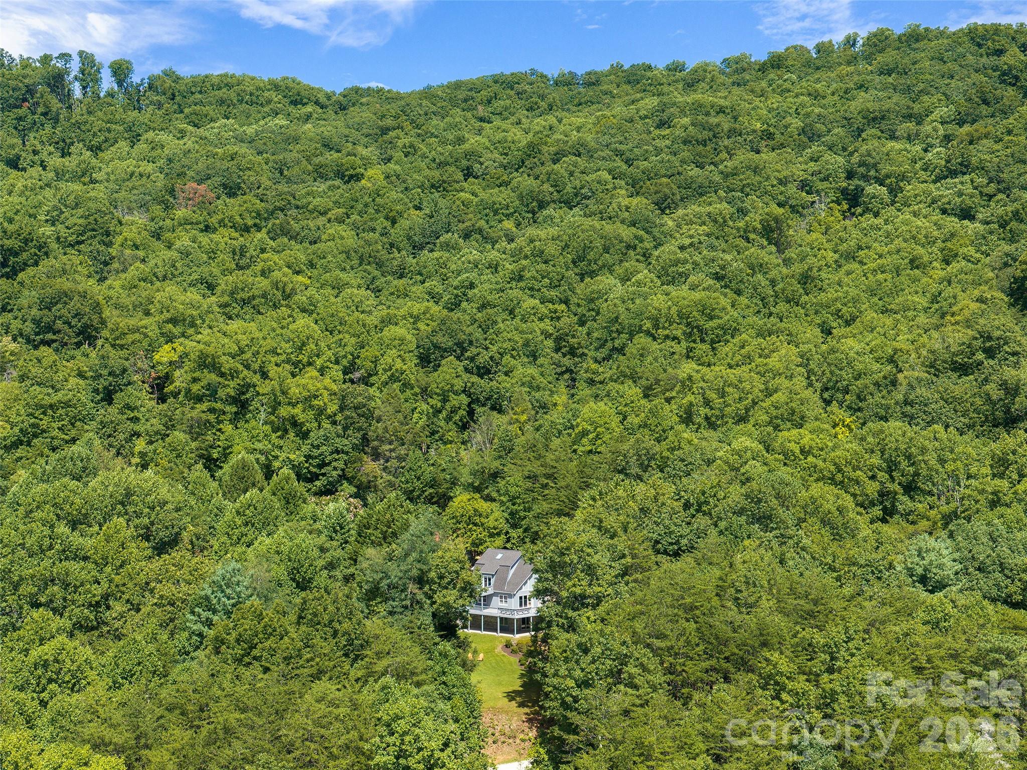 225 Long Branch Road Swannanoa, NC 28778 - Photo 34 of 34 Gallery Image 34