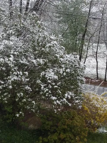 $695,000 | 250 Joppa Hill Road, Bedford, NH 03110