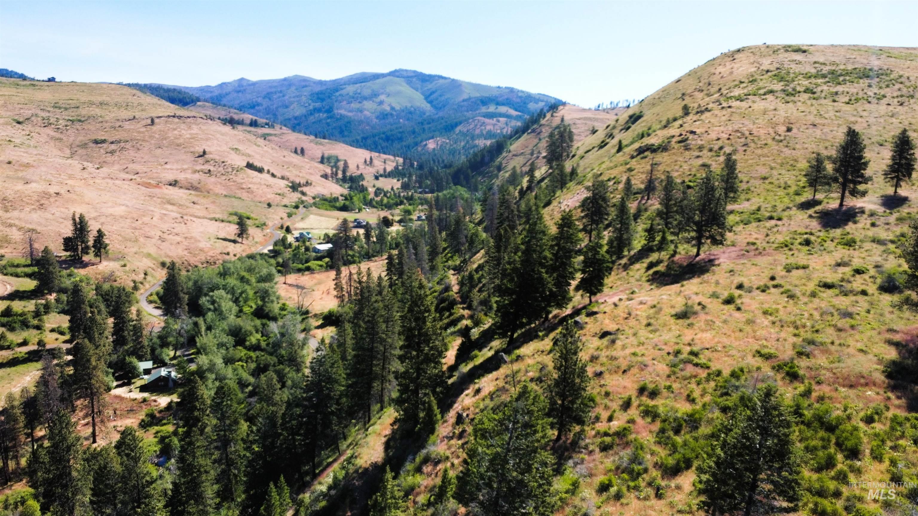 Tbd Advent Gulch Road Cambridge, ID 83610 - Photo 3 of 24