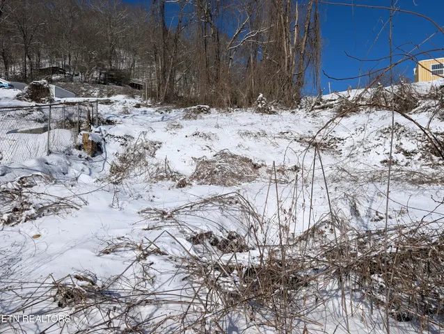 $10,000 | 513 Mouser Street, Appalachia, VA 24216