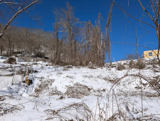 $10,000 | 513 Mouser Street, Appalachia, VA 24216