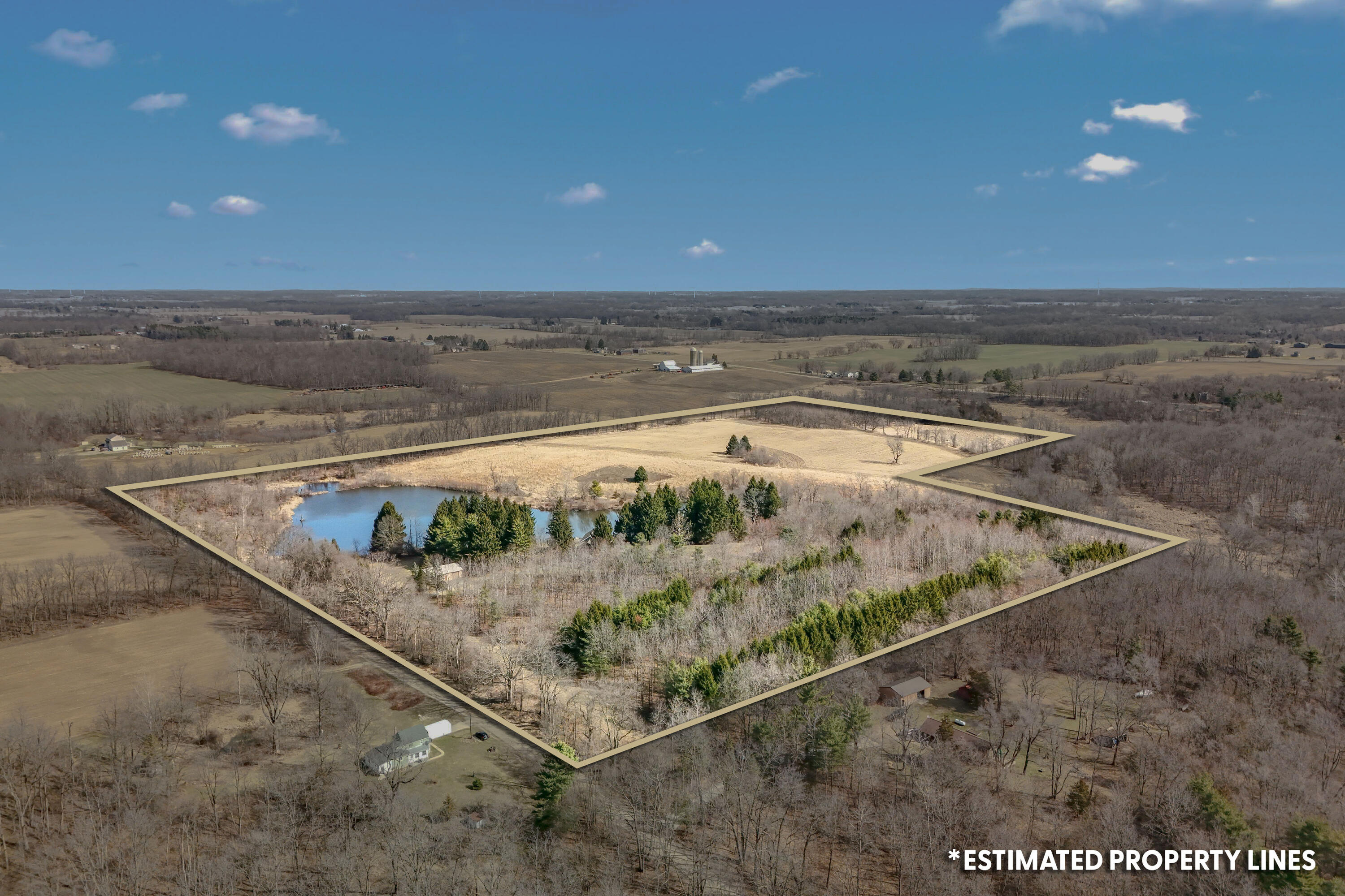 2175 Bird Lake Road South Osseo, MI 49266 - Photo 6 of 68 2