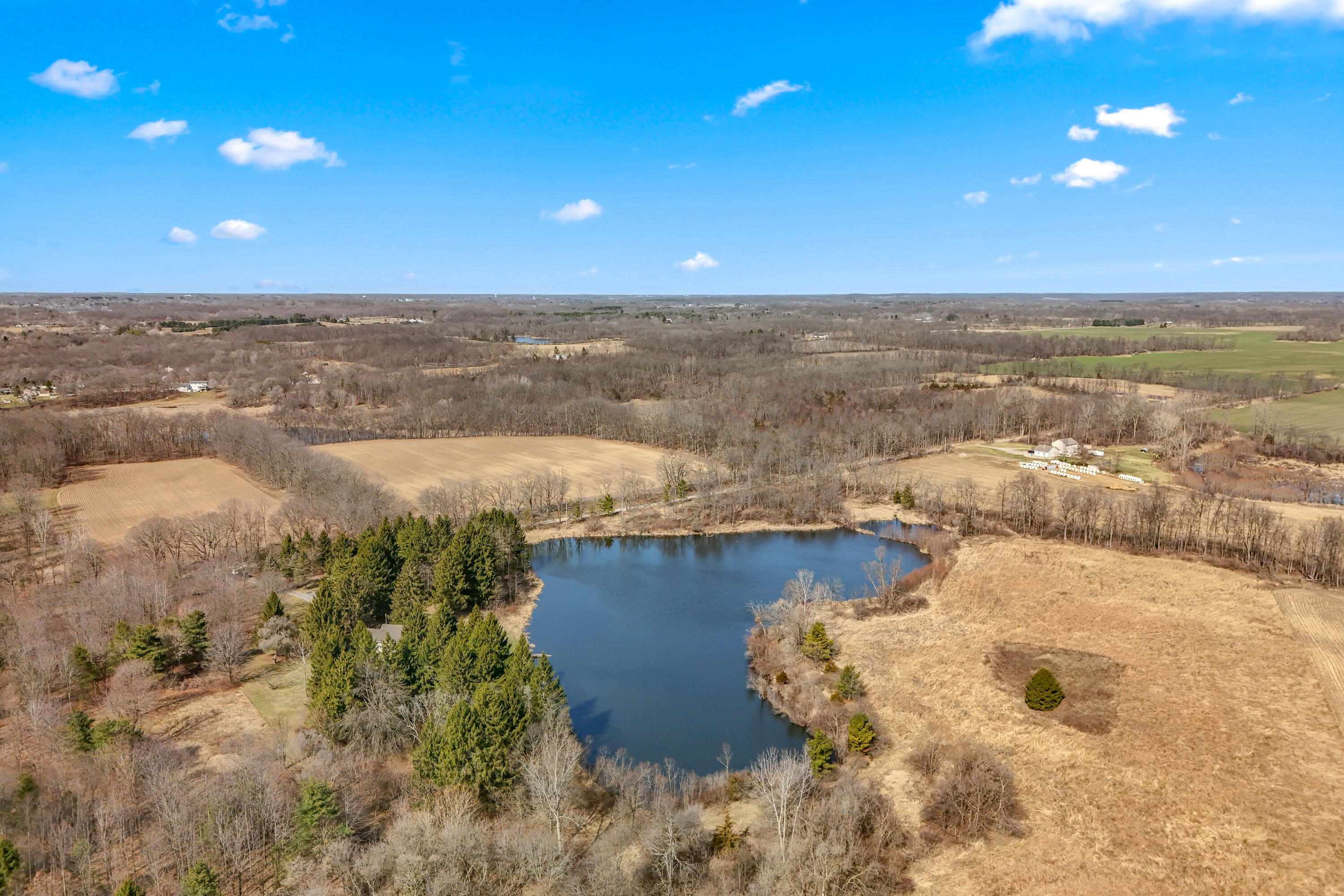 2175 Bird Lake Road South Osseo, MI 49266 - Photo 10 of 68 7