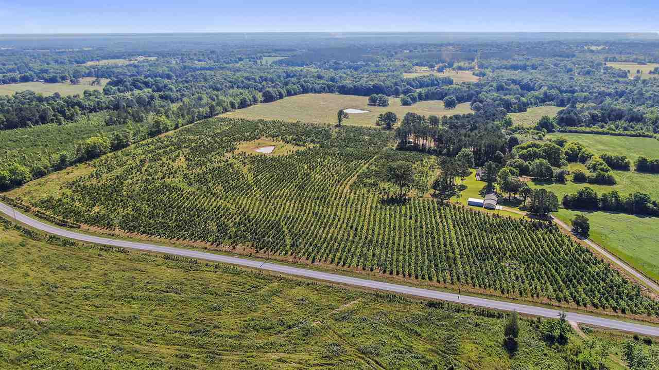 A Dry Creek Road Magee, MS 39111 - Photo 1 of 7 Photo 1