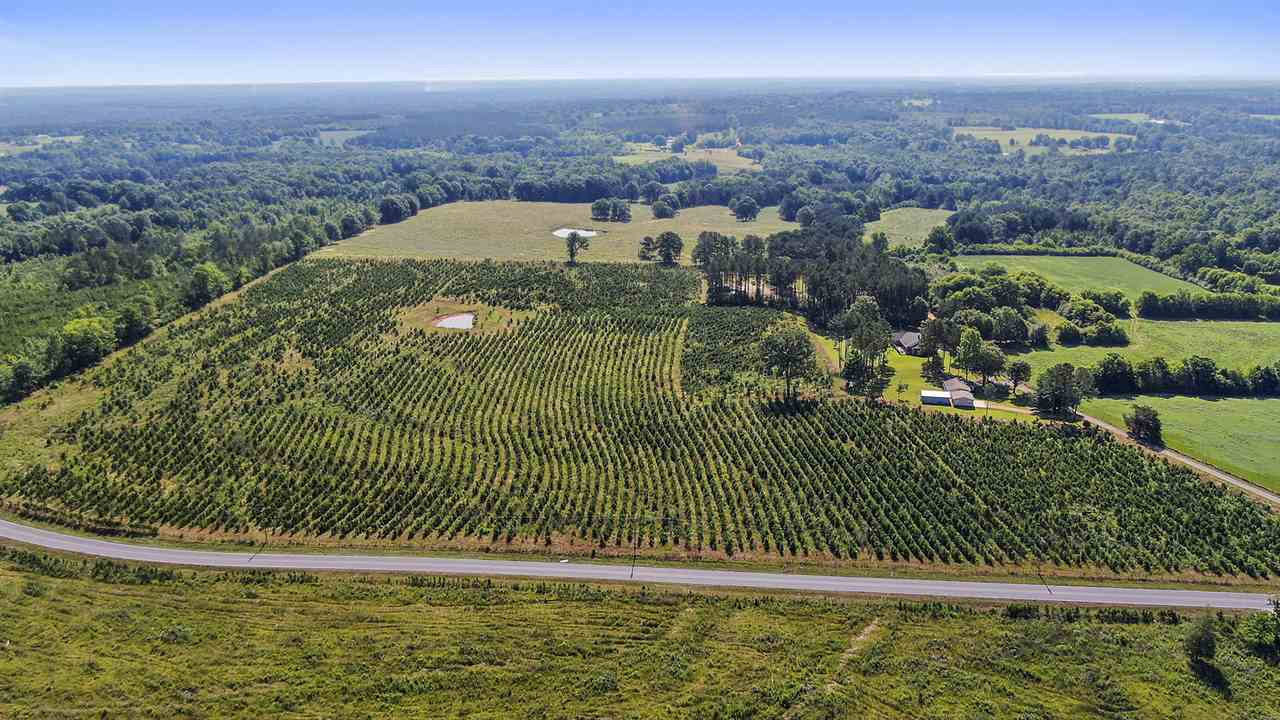 A Dry Creek Road Magee, MS 39111 - Photo 2 of 7 Photo 3