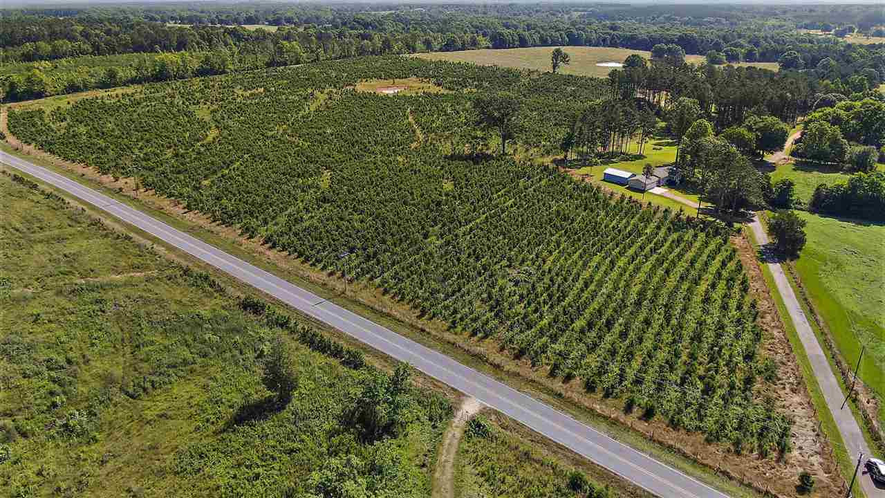 A Dry Creek Road Magee, MS 39111 - Photo 5 of 7 Photo 6