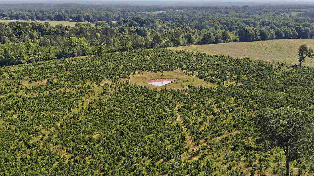 A Dry Creek Road Magee, MS 39111 - Photo 6 of 7 Photo 7