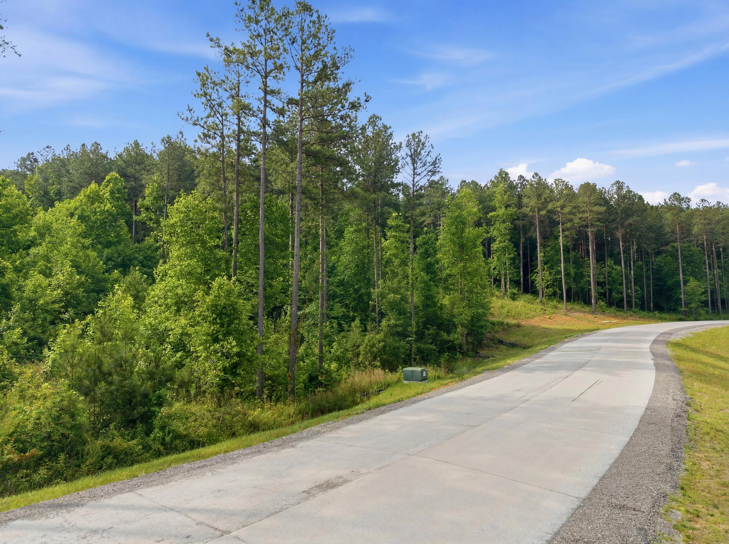 0 Birds Eye Way, Unit 1099 Guild, TN 37340 - Photo 1 of 15 1099 12