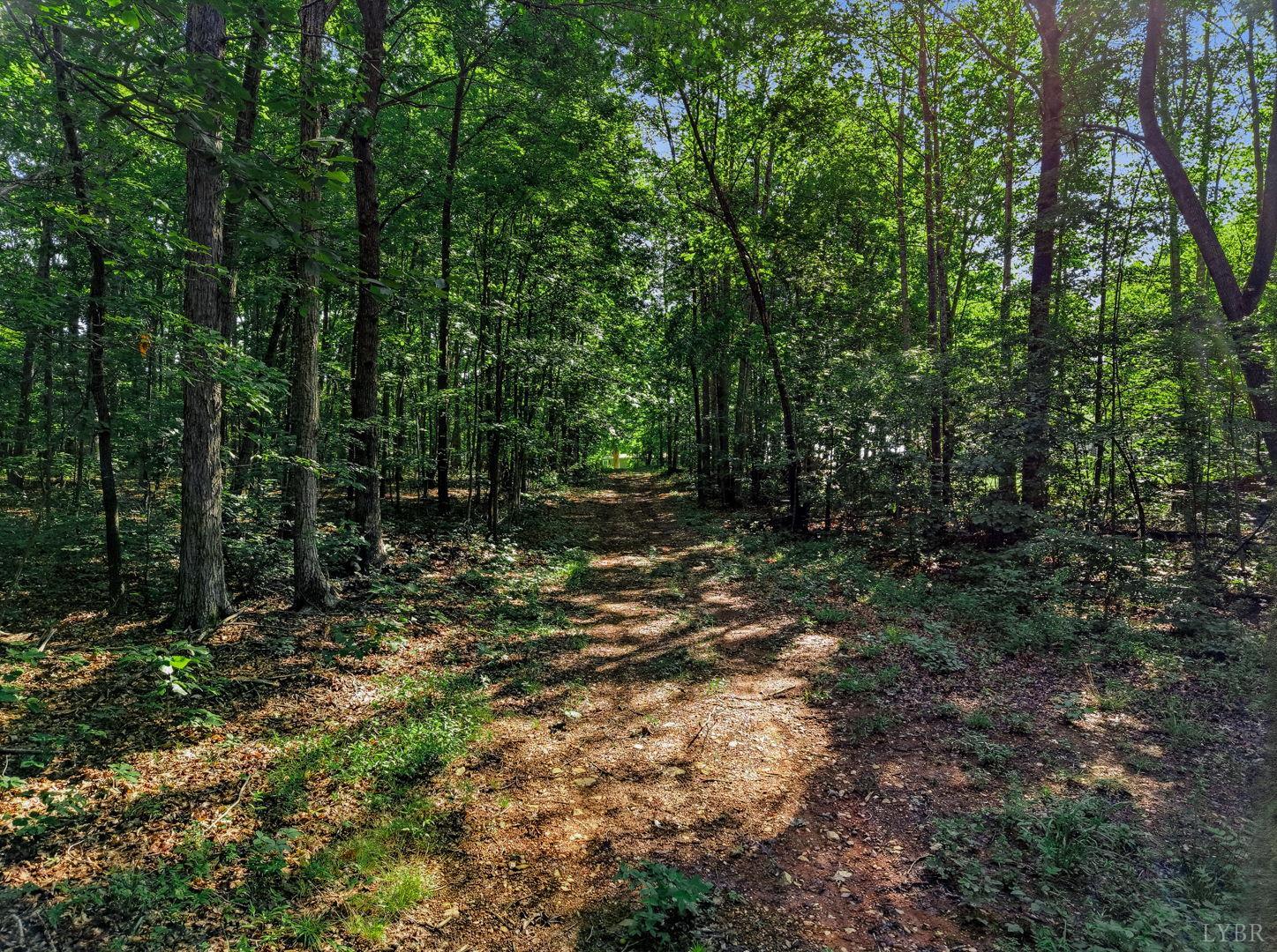 0 Old Grist Mill Road Appomattox, VA 24522 - Photo 4 of 10
